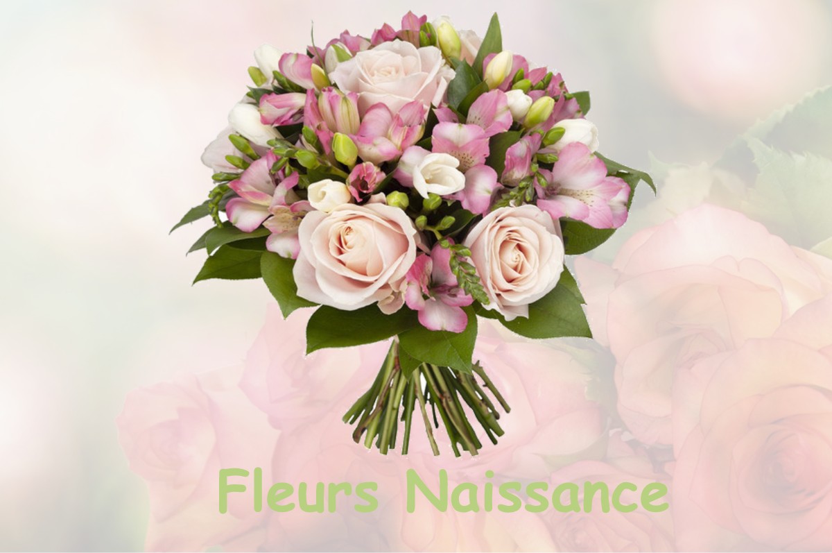 fleurs naissance VILLORCEAU