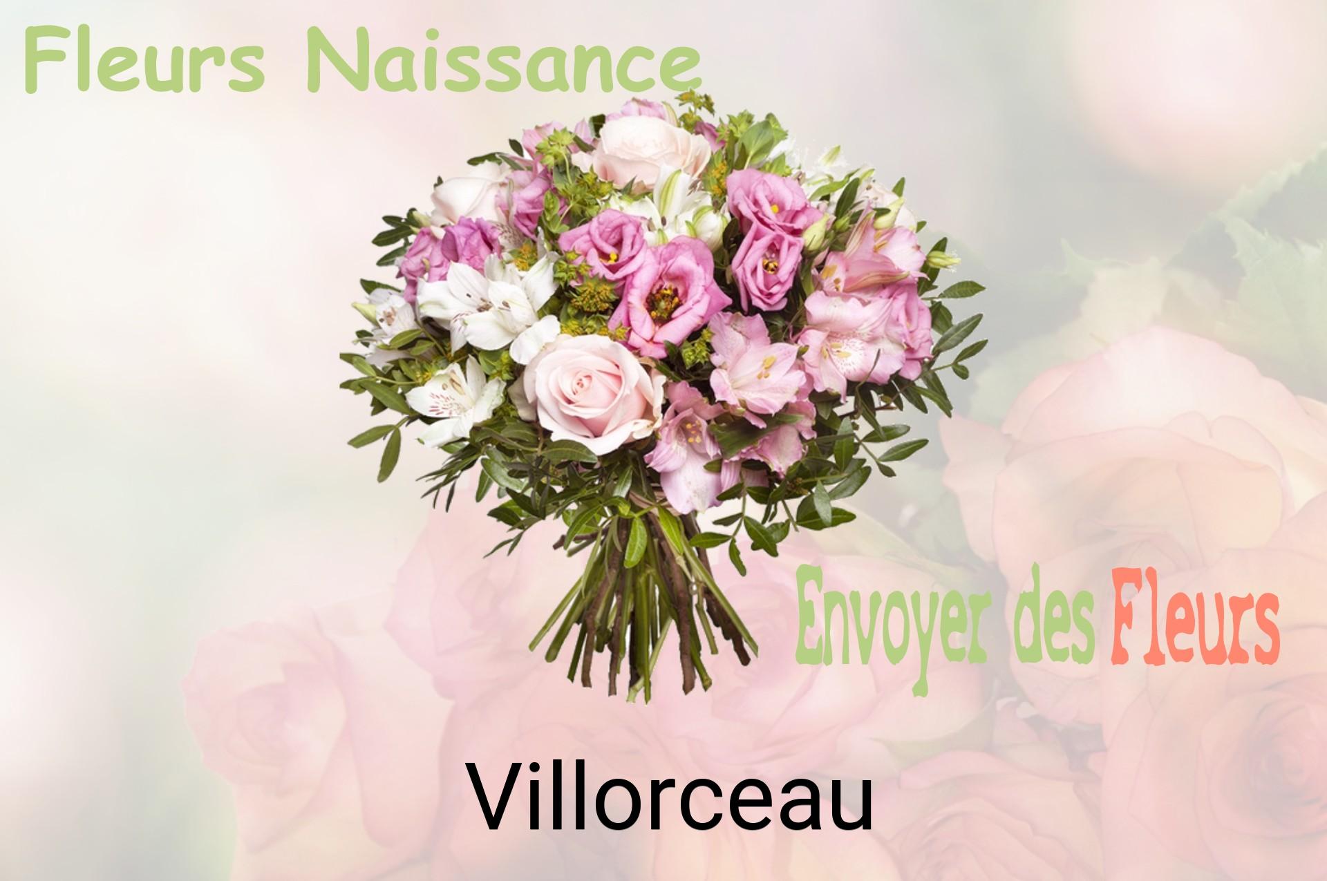 Bouquet de fleurs de naissance livré à Villorceau