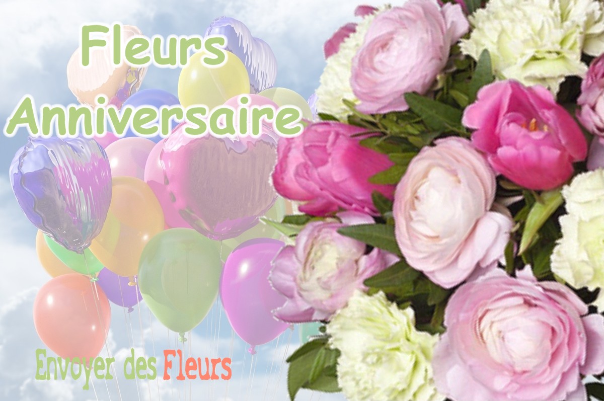 lIVRAISON FLEURS ANNIVERSAIRE à VILLORCEAU