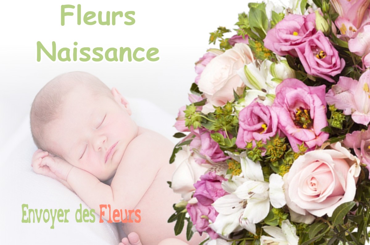 lIVRAISON FLEURS NAISSANCE à VILLORCEAU