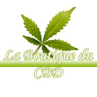 LA BOUTIQUE DU CBD VILLORCEAU 