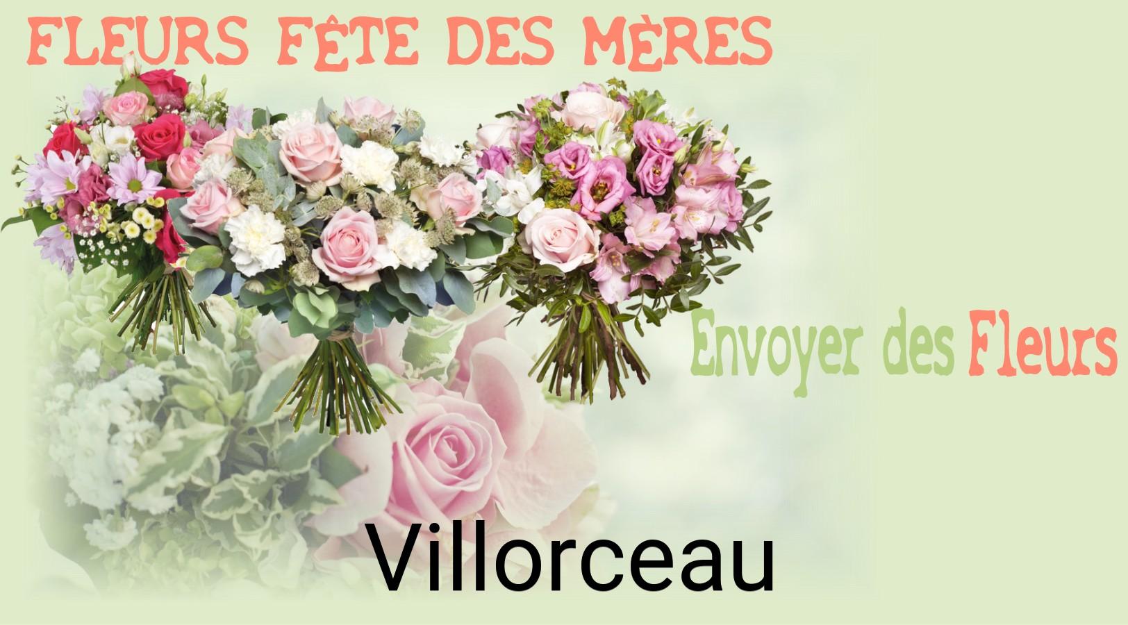 Bouquet de Fête des Mères livré à Villorceau